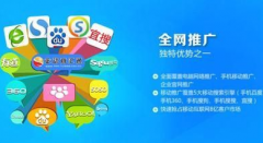 软文营销是网络推广软文的一大利器