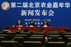 北京市软文信息发布的网站要怎么选