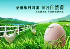 有哪些打广告的好方式和新奇的方式