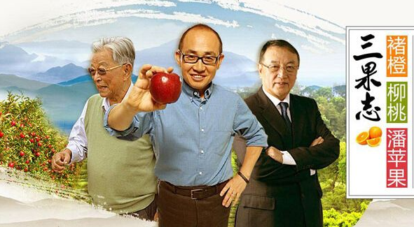 广告软文小故事800字