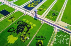 要找软文投放公司你一定要知道这些点