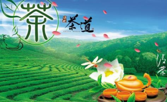 茶叶推广软文