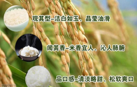 微商软文范例