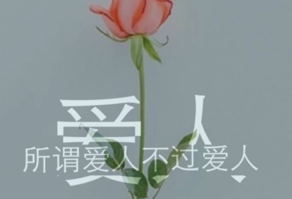 关于情感类的软文
