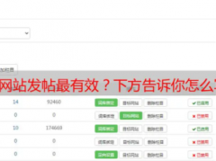通过网站发帖功能网站排名能提上去吗