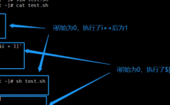 编程自动发帖工具如何实现快速发帖