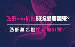 通过网站seo营销提高站群流量